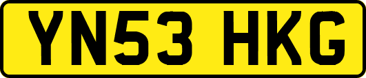 YN53HKG
