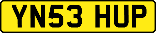 YN53HUP