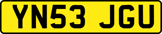 YN53JGU