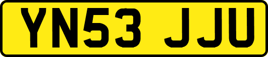 YN53JJU
