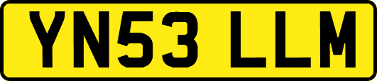 YN53LLM