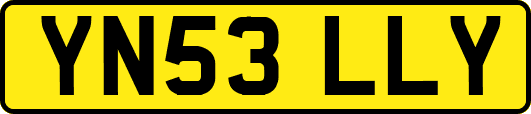 YN53LLY