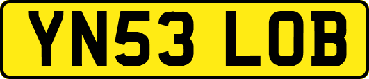 YN53LOB