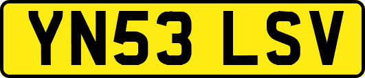 YN53LSV