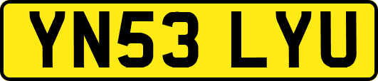 YN53LYU