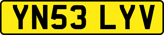 YN53LYV