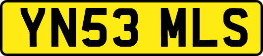 YN53MLS