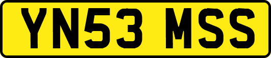 YN53MSS