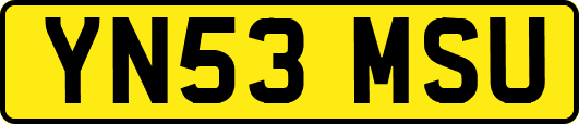 YN53MSU