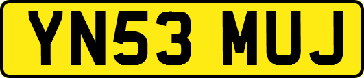 YN53MUJ