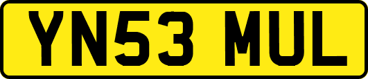YN53MUL