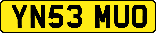 YN53MUO