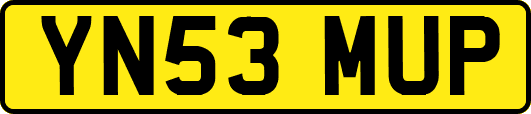 YN53MUP
