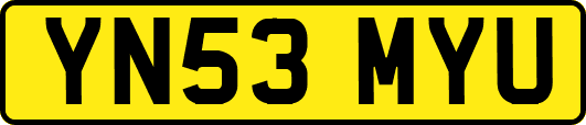 YN53MYU