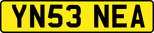 YN53NEA