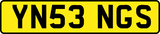 YN53NGS