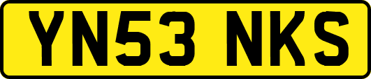 YN53NKS