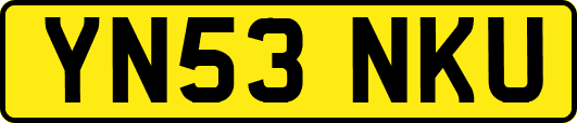 YN53NKU