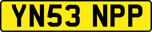 YN53NPP