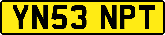 YN53NPT
