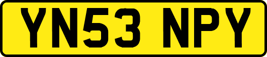 YN53NPY