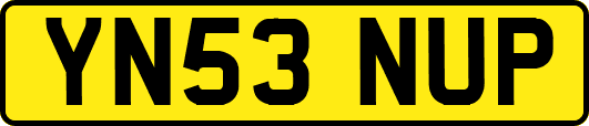 YN53NUP