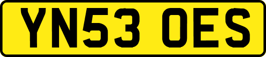 YN53OES