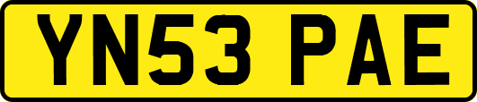 YN53PAE