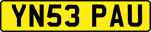 YN53PAU