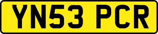 YN53PCR