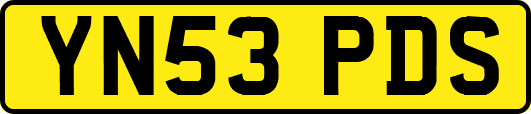 YN53PDS