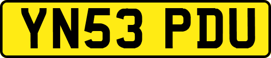 YN53PDU