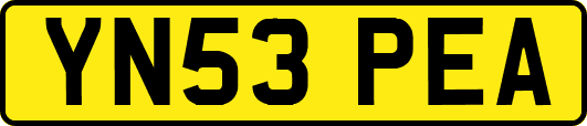 YN53PEA