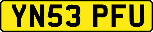 YN53PFU
