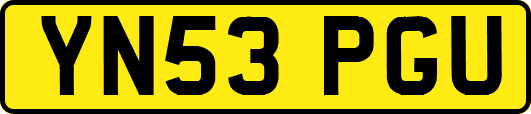 YN53PGU