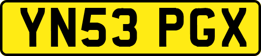 YN53PGX