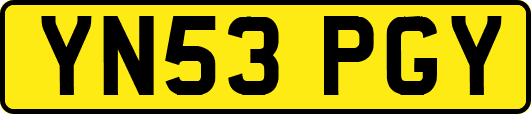 YN53PGY