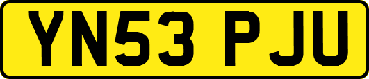 YN53PJU