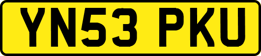 YN53PKU