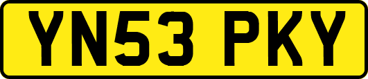YN53PKY