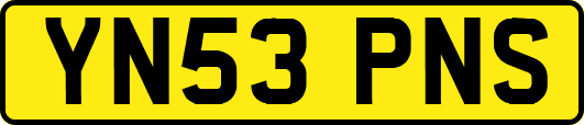 YN53PNS