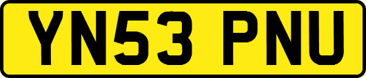 YN53PNU