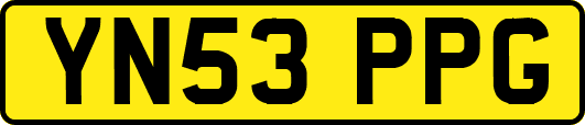 YN53PPG