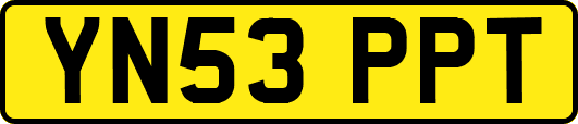 YN53PPT