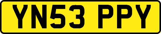 YN53PPY