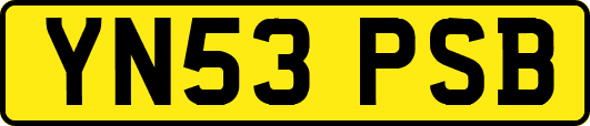 YN53PSB