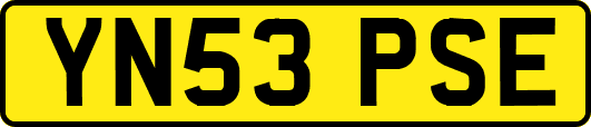 YN53PSE