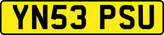 YN53PSU