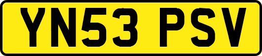 YN53PSV