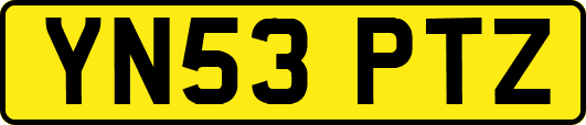 YN53PTZ
